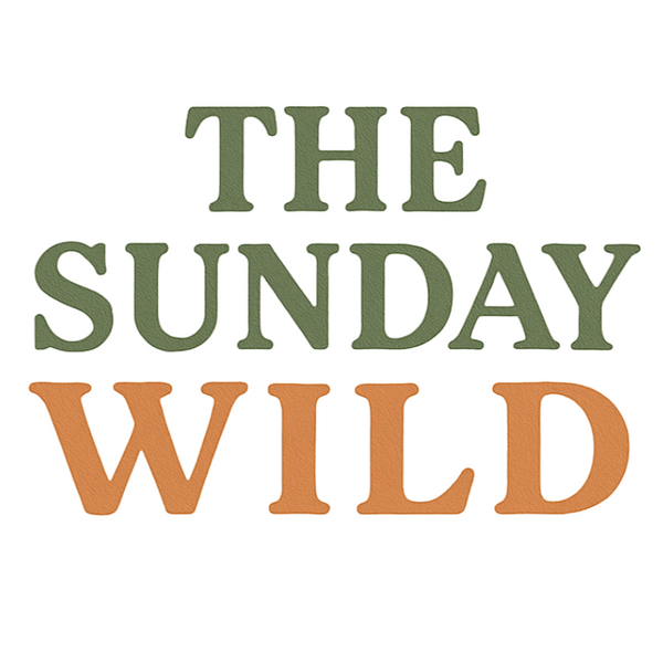 The Sunday Wild